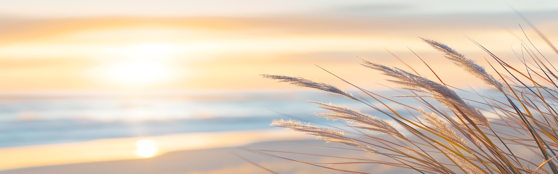 What is functional medicine?